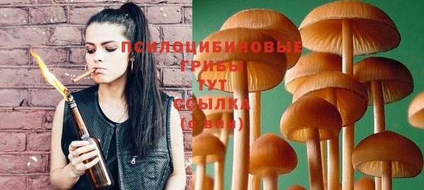 прущий лед Белоозёрский