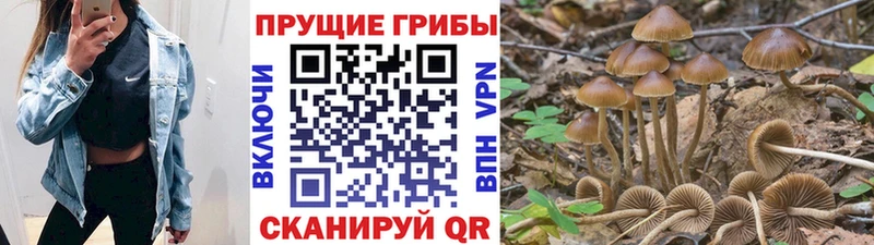Галлюциногенные грибы мицелий Кандалакша