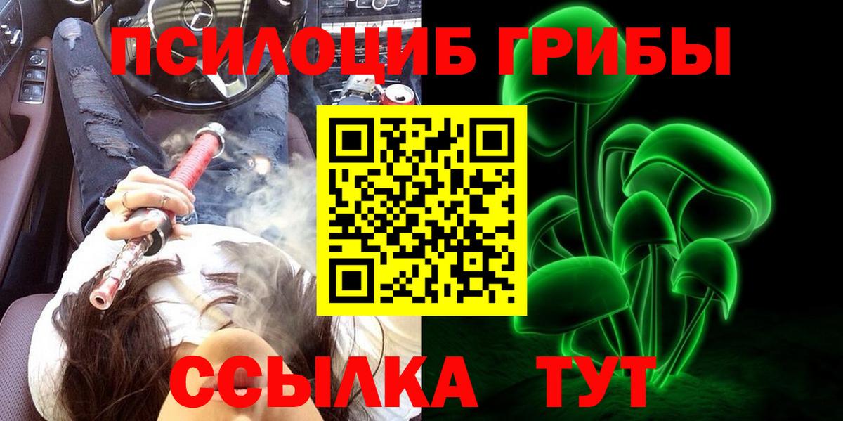 Галлюциногенные грибы Cubensis  наркота  Кандалакша  Псилоцибиновые грибы MAGIC MUSHROOMS  Вход с VPN 