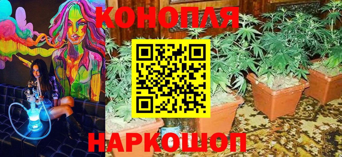Конопля индика  Шишки марихуана гибрид  Кандалакша  Вход с VPN  Канабис индика 